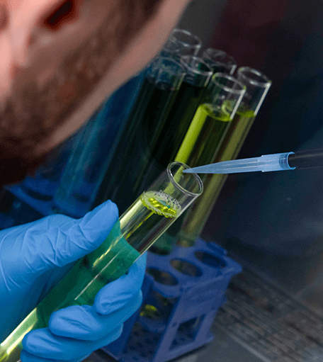 Laboratorio