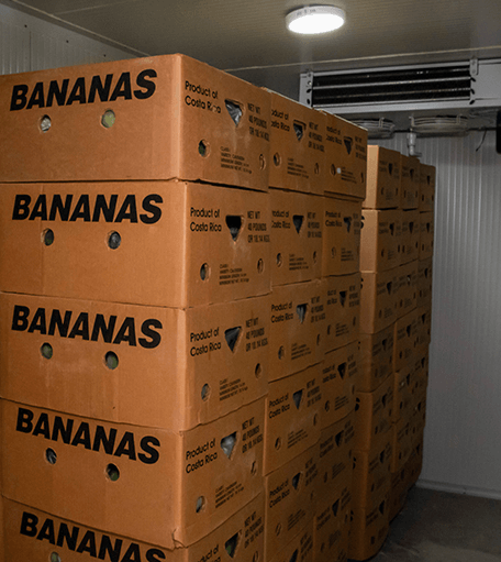 Registros e importación